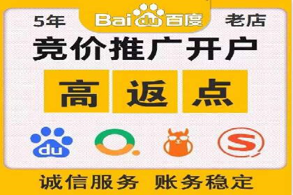 百度竞价运营的挑战与机遇：成功案例探讨